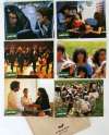 12 movie stills from LA BELLE VERTE (1996)