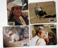 16 movie stills from JUNIOR BONNER (1972)