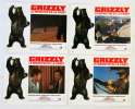 12 photos d'exploitation du film GRIZZLY LE MONSTRE DE LA FOR&Ecirc;T (1976)