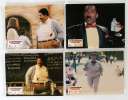 12 photos d'exploitation du film LE PROFESSEUR FOLDINGUE (1996)
