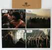 12 photos d'exploitation du film ROBIN DES BOIS (1991)