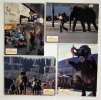 10 photos d'exploitation du film UN &Eacute;L&Eacute;PHANT SUR LES BRAS (1996)