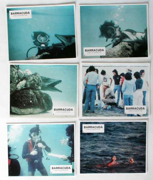 12 photos d'exploitation du film BARRACUDA (1978)