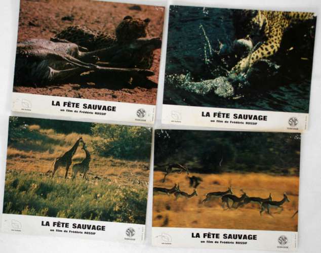 4 photos d'exploitation du film LA FÊTE SAUVAGE (1976)
